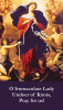 *LARGE* Our Lady Undoer of Knots Prayer Card